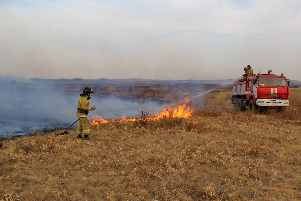 Масштабный пожар в Амвросиевском лесном хозяйстве