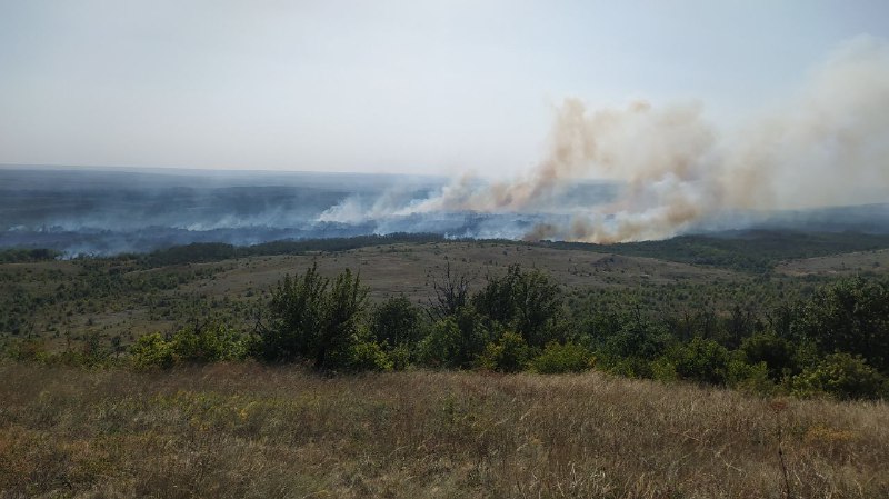Пожарные МЧС ликвидируют лесной пожар в заповеднике